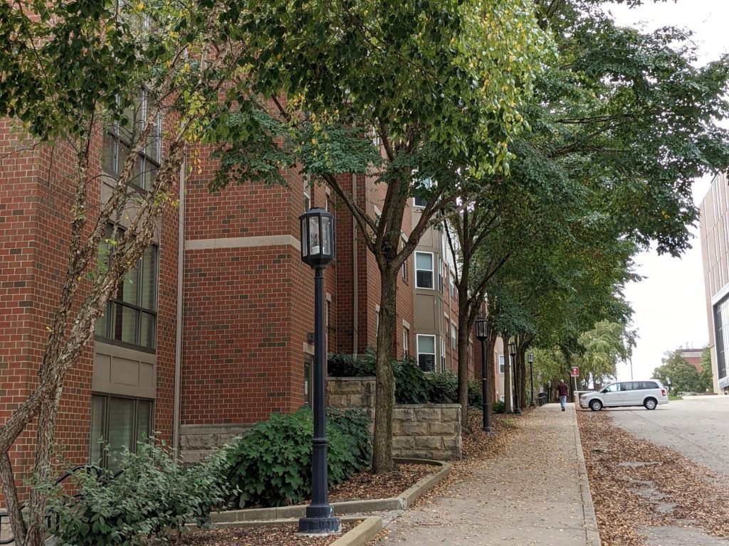 Streetscape with traditional looking red brick building with stone bases and limestone accents going down the street with a sidewalk and trees and shrubs planted along the living learning student housing community dormitory building